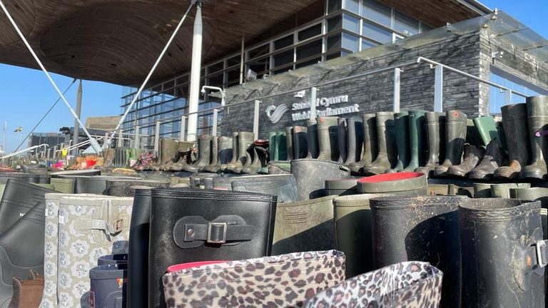 Wellies outside the Senedd