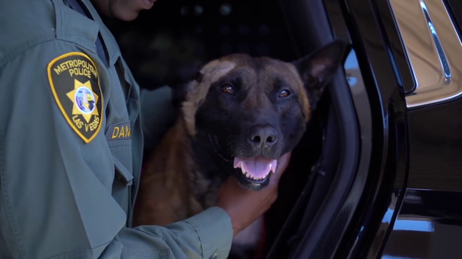 Лас Вегас: Ранено полицейско куче е спасено, след като полицаи го откарват по спешност в болница
