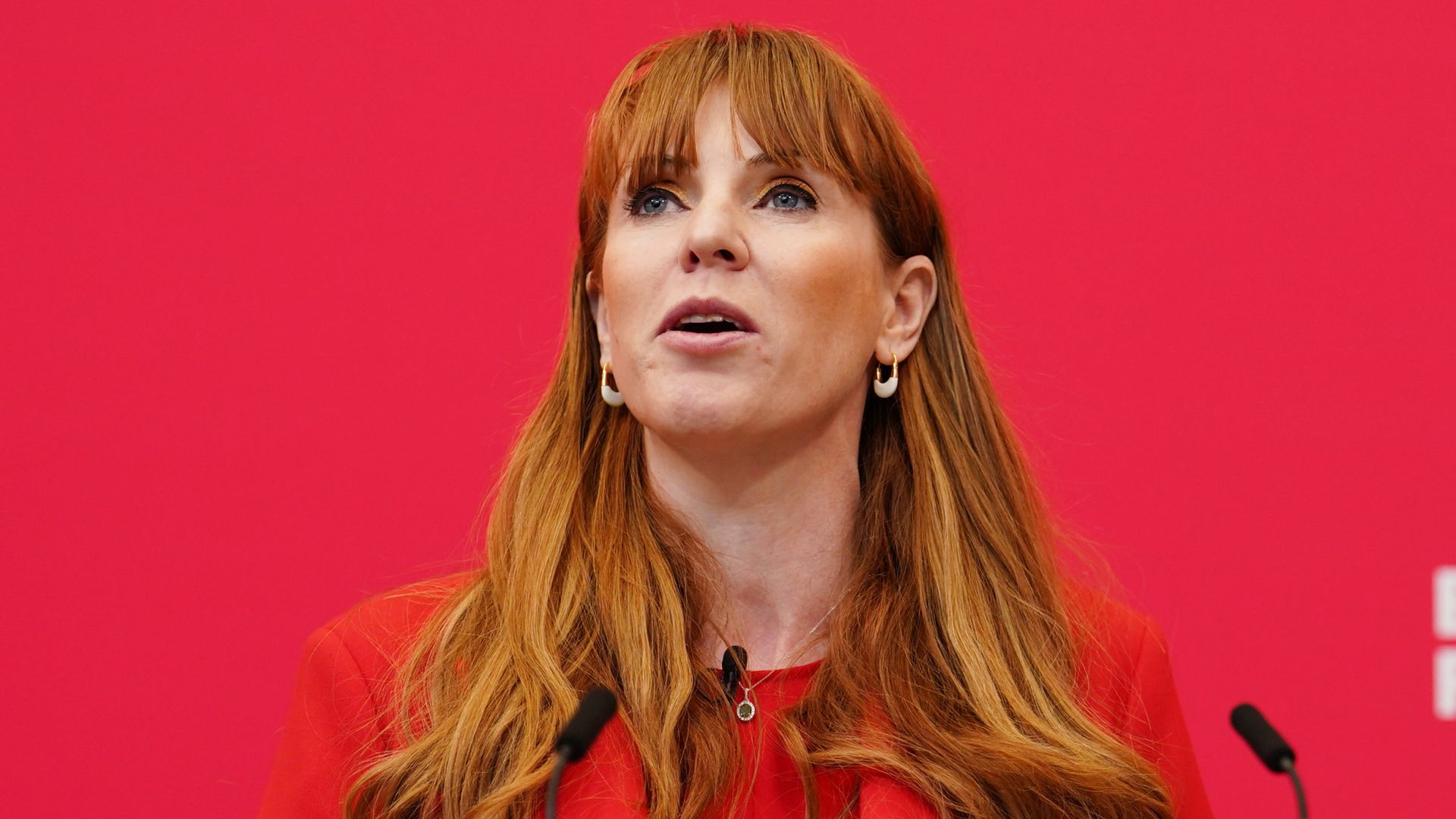 Police will take no further action against Labour's Angela Rayner over housing claims...