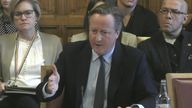 David Cameron appearing before the House of Lords International Relations and Defence Committee.
Pic: PA