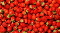 Strawberries were the worst offender when thousands of food and drink samples were tested for residues of &#39;forever chemicals&#39;. Pic: iStock