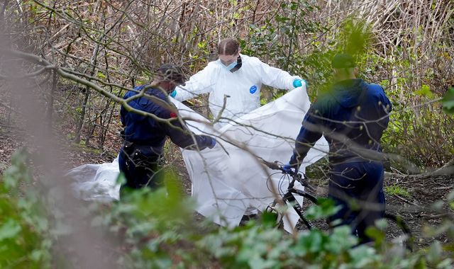 Human torso wrapped in plastic found at nature reserve belongs to man, police say - Vimarsana News