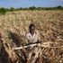 Zimbabwe declares state of disaster over drought sweeping across southern Africa
