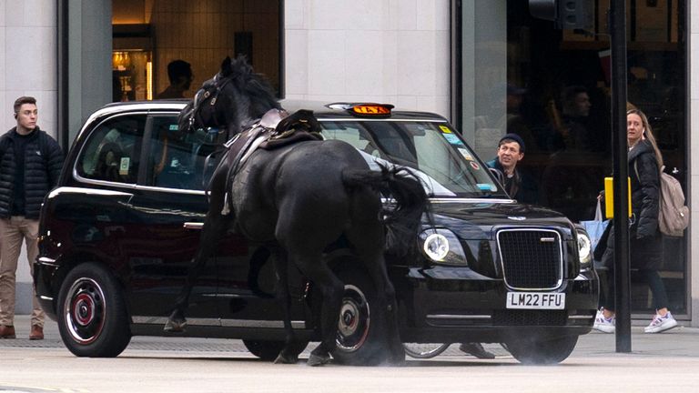 Two loose horses run through the streets of London, near Aldwych.  PA Photo