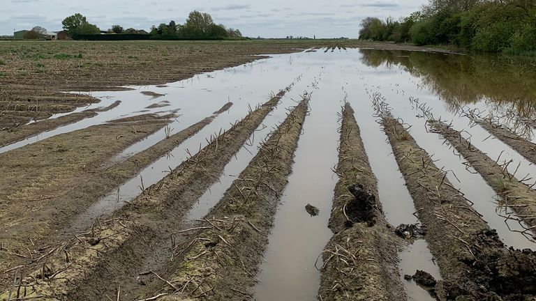 Andrew Branton&#39;s flooded field of his Lincolnshire farm

pic provided by correspondent