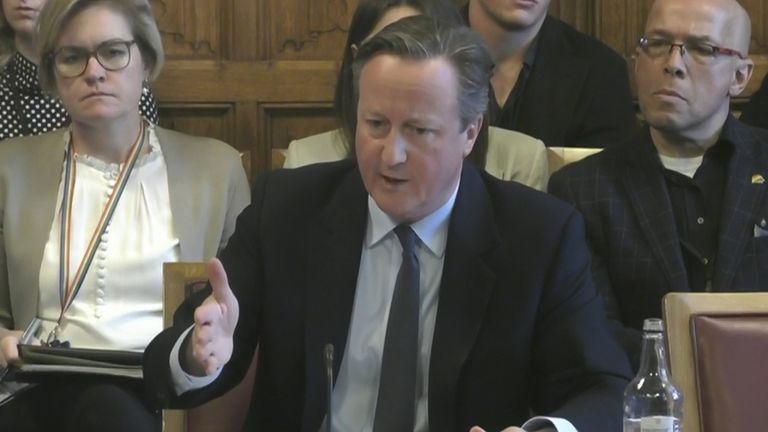 David Cameron appearing before the House of Lords International Relations and Defence Committee. Pic: PA
