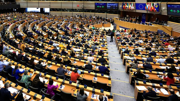 Members of European Parliament took part in votes. Pic: AP