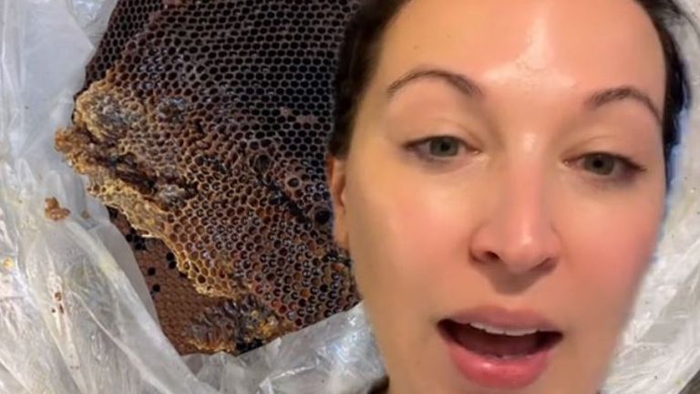 Ashley Class said her daughter heard 'monsters' - little did she know her walls were being invaded by 50,000 bees. Pic: @classashley/TikTok
