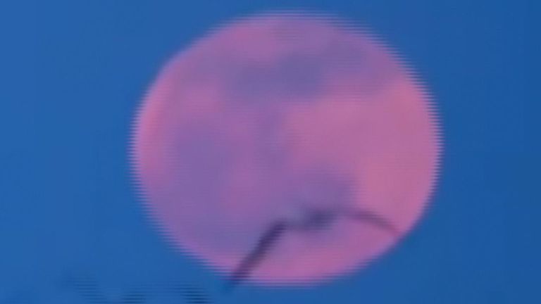 Pink moon rises over Maryland