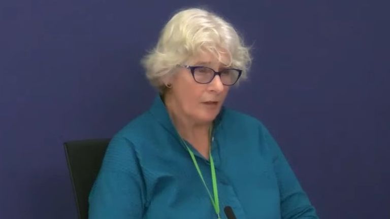 Susan Crichton gave evidence to the inquiry on Tuesday