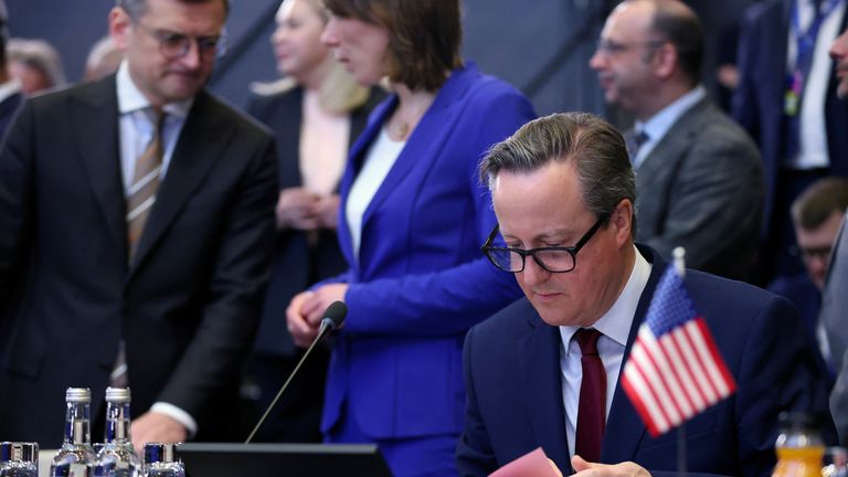 David Cameron takes part in a meeting of the NATO-Ukraine Council.
Pic: Reuters