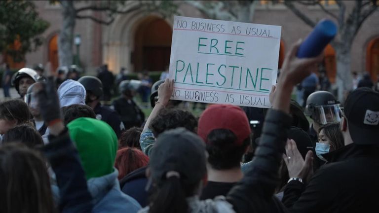 University pro-Palestinian protests  