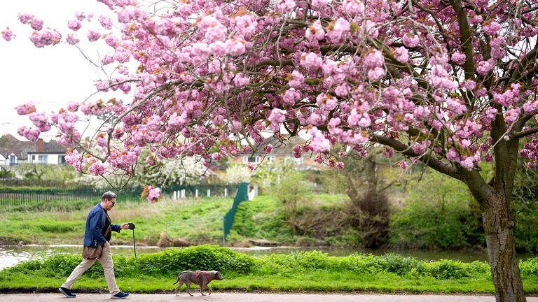Warmer weather is finally on its way, with parts of Britain set to bask in 20C heat - Vimarsana News