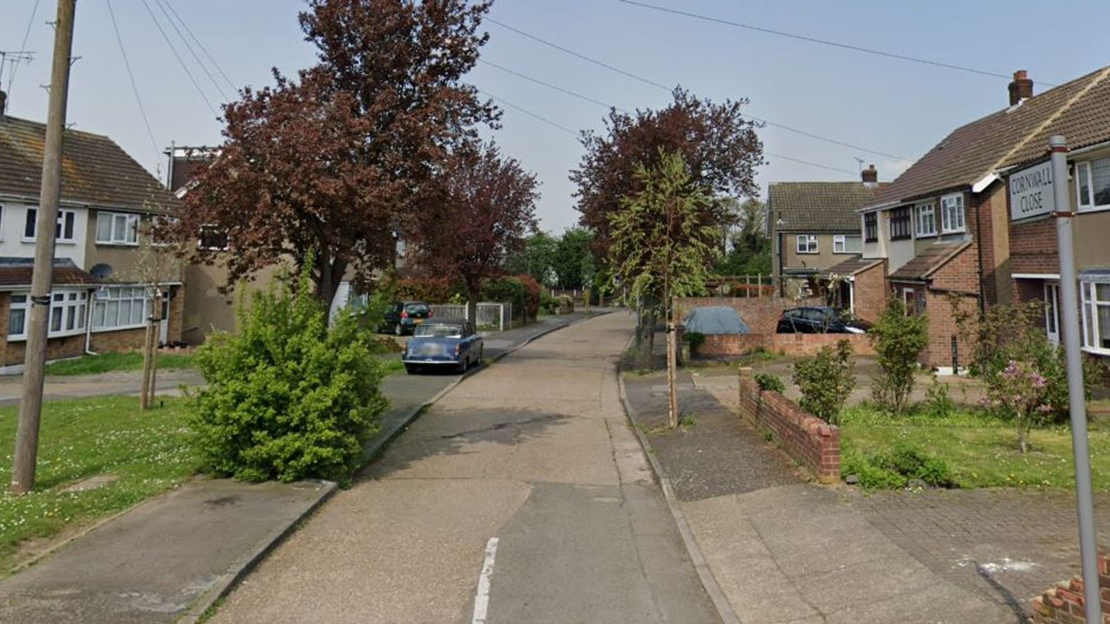 Woman killed by her two XL bully dogs in east London | UK News | Sky News