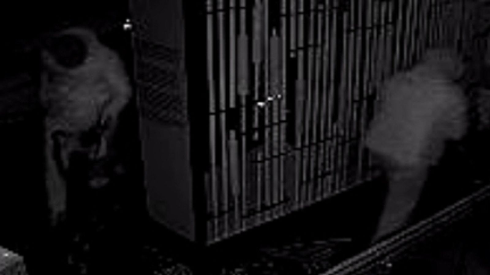 Полицията в Кеймбриджшър пусна камери за видеонаблюдение на дуо, заподозряно в кражба на „най-ценния предмет“