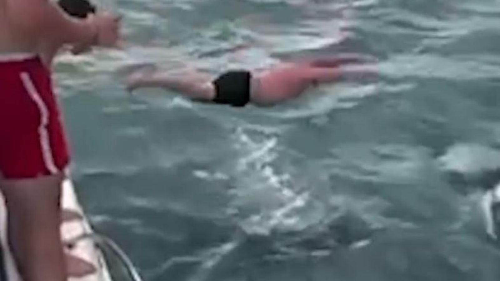 `Beyond ignorant`: Мъж, заснет как `удря по тялото` косатка в Нова Зеландия, е глобен