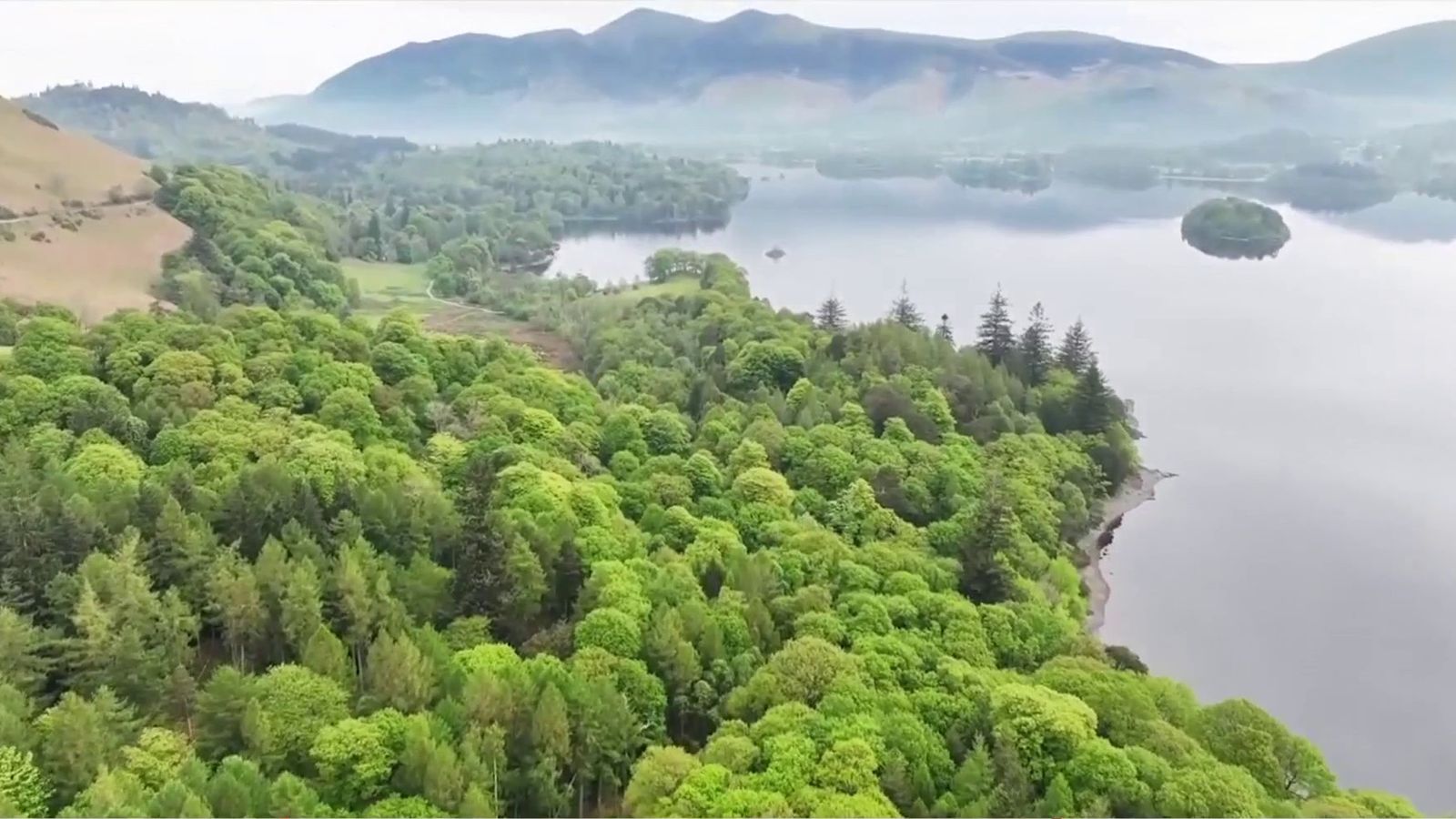 Borrowdale rainforest in Lake District declared national nature reserve ...
