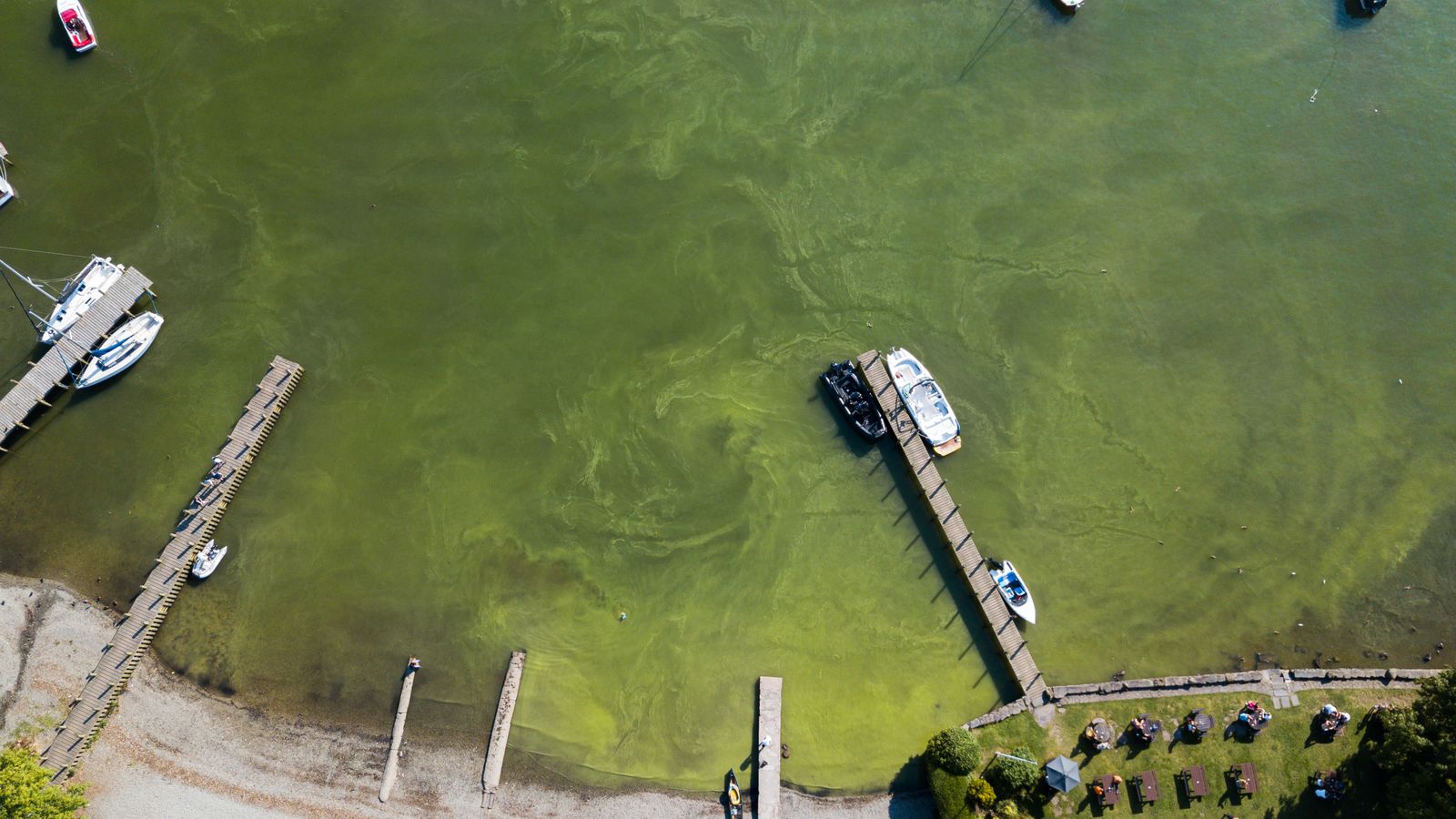 Броят на туристите превръща езерото Уиндърмиър в зелено, казват изследователи