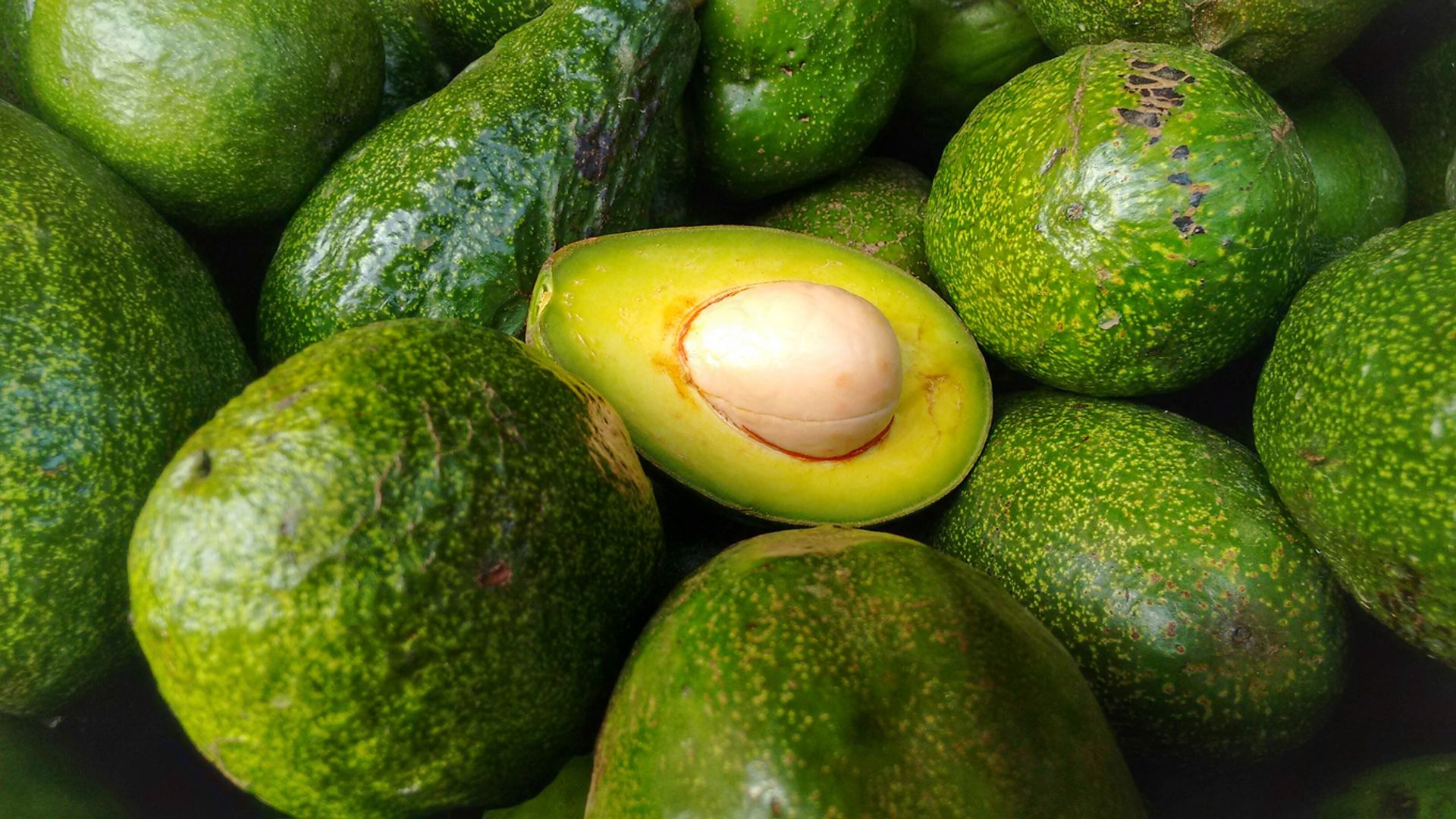Armed highway thieves steal 40 tonnes of avocados 
