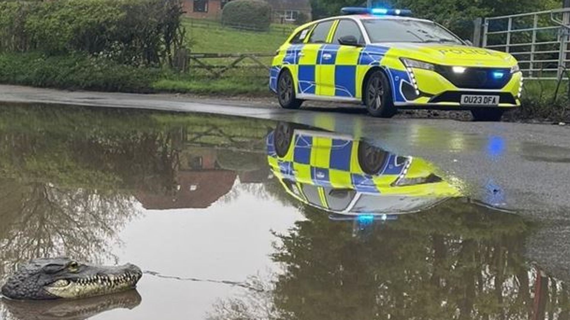 Police called to reports of 'crocodile' in flood water