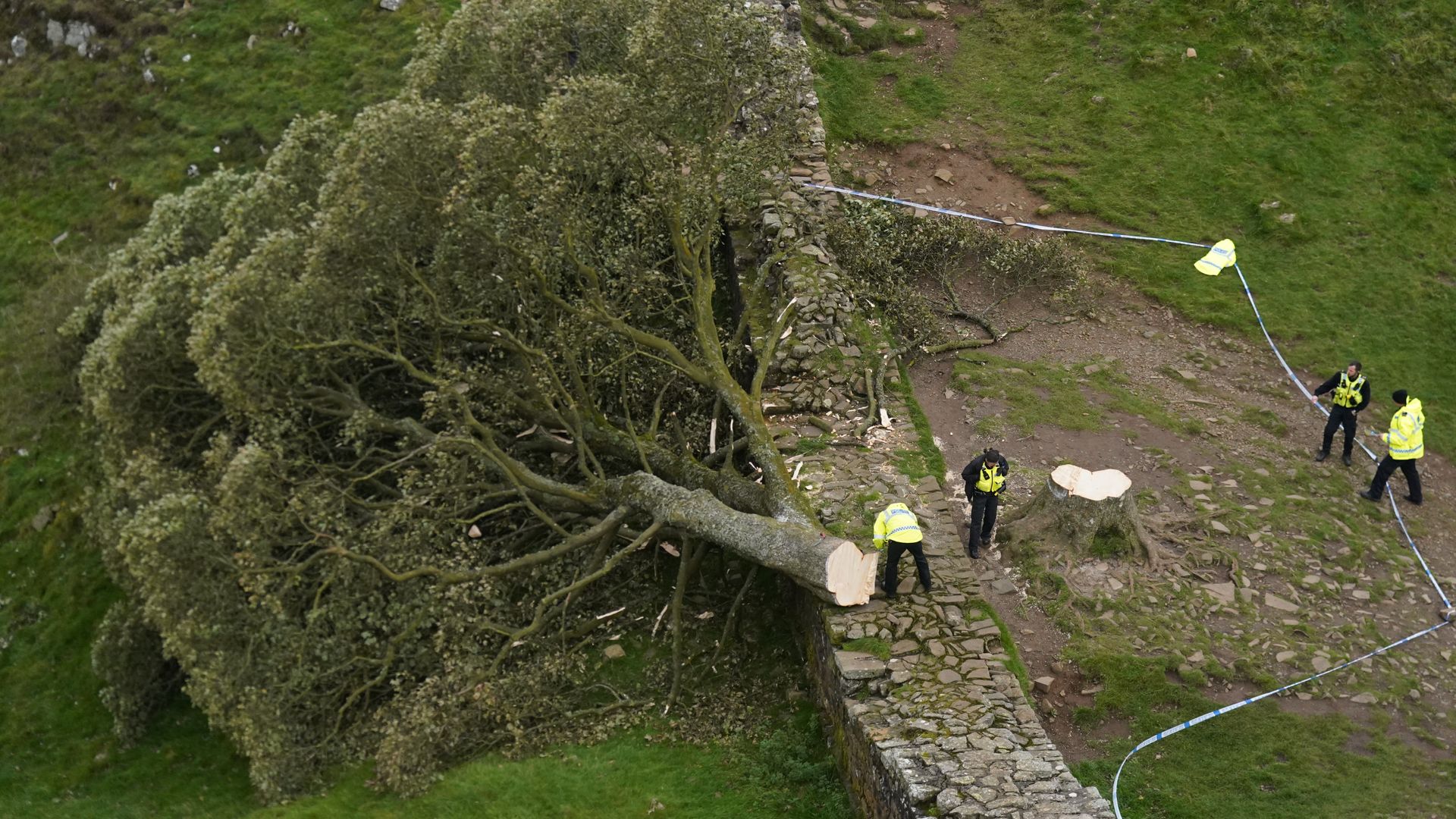 Two men went on 'moronic mission' to fell Sycamore Gap tree, jury told