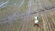 PABest Brussels sprouts are harvested in a flooded field at TH Clements and Son Ltd near Boston, Lincolnshire. UK growers of green winter vegetables are facing some of the worst winter conditions in recent memory due to wet weather and heavy downpours. Supermarket chain Tesco is temporarily accepting some smaller-than-usual vegetables from growers to help flood-hit farmers. A relaxation on size requirements on sprouts, cauliflowers, cabbages and leeks, is helping to keep British vegetables on th