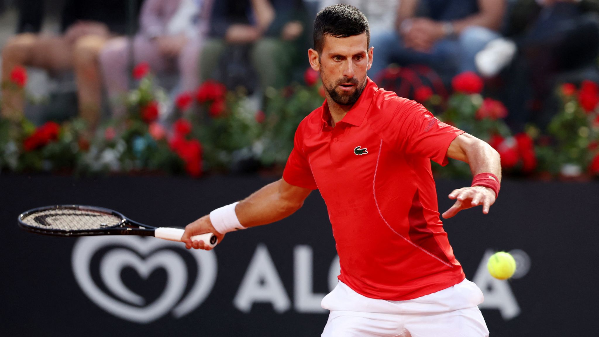 Italian Open: Novak Djokovic struck in head by water bottle while signing  autographs | World News | Sky News