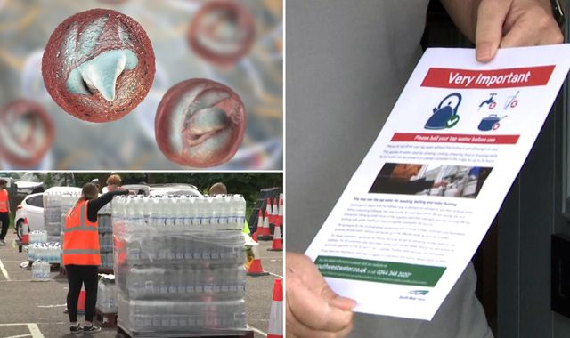 Brixham: Warning 'heads are going to roll' after water parasite outbreak - as restrictions lifted for most homes - Vimarsana News