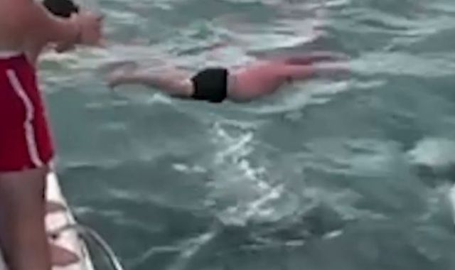 'Beyond ignorant': Man filmed 'body slamming' orca in New Zealand is fined - Vimarsana News