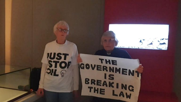 The pair glued themselves to the enclosure afterwards and brandished signs saying ‘the government is breaking the law’.