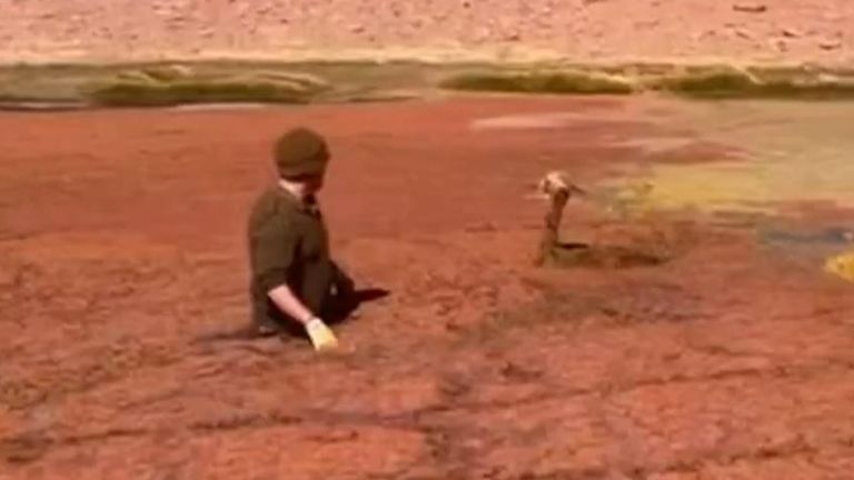 Officer wades through freezing mud to rescue vicuna calf in Andes Mountains