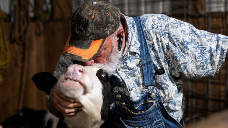 Farmer Dan Klotz kisses the head of his cow during a cow cuddle session. Pic: Reuters 