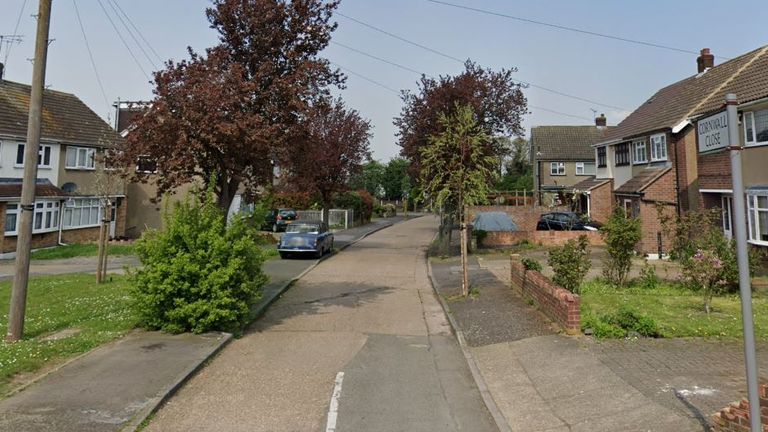 The woman died after a dog attack in Cornwall Close, Hornchurch. Pic: Google Street View