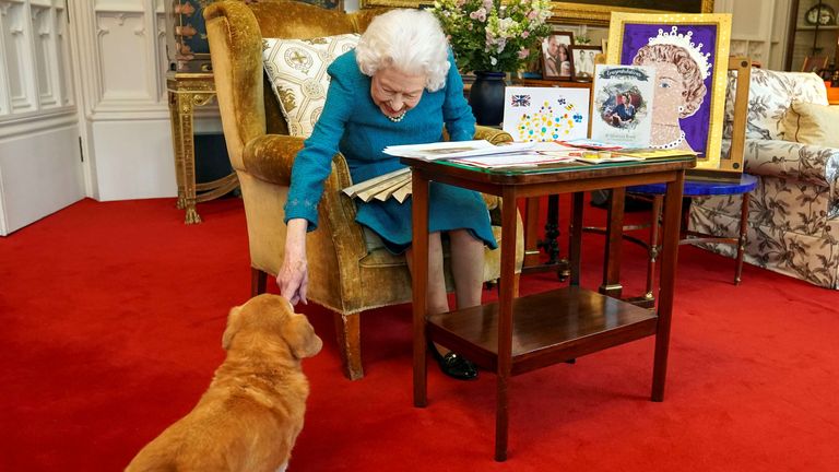  Queen Elizabeth is joined by one of her dogs as she views a display of memorabilia at Windsor Castle, Windsor, Britain, in this undated picture issued on February 4, 2022. Pic: Reuters