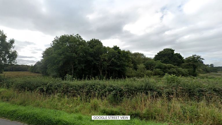The Finglandrigg Wood area, off the B5307 west of Carlisle