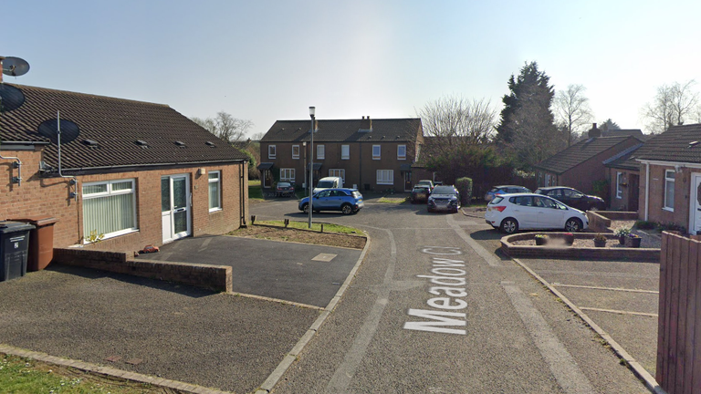 Meadow Close, Newtownards. Pic: Google Street View