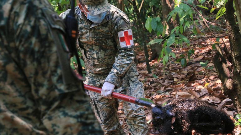 A soldier removes the body of a howler monkey that died amid extremely high temperatures in Tecolutilla, Tabasco state, Mexico, May 21, 2024. Dozens of howler monkeys were found dead in the Gulf Coast state while others were rescued by residents who rushed them to a local veterinarian. (AP Photo/Luis Sanchez)