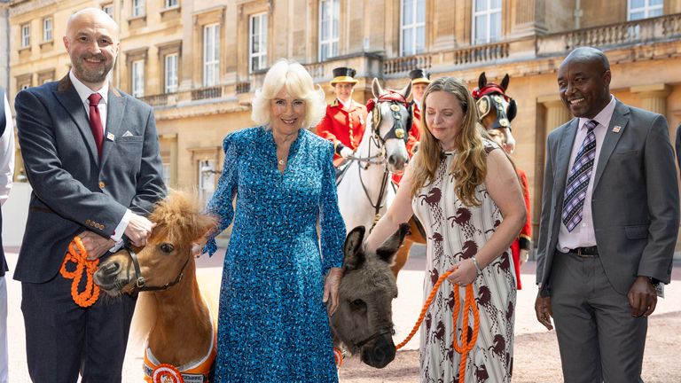 The Queen hosted a reception for an equine charity. Pic: Daily Telegraph/Geoff Pugh/PA                   