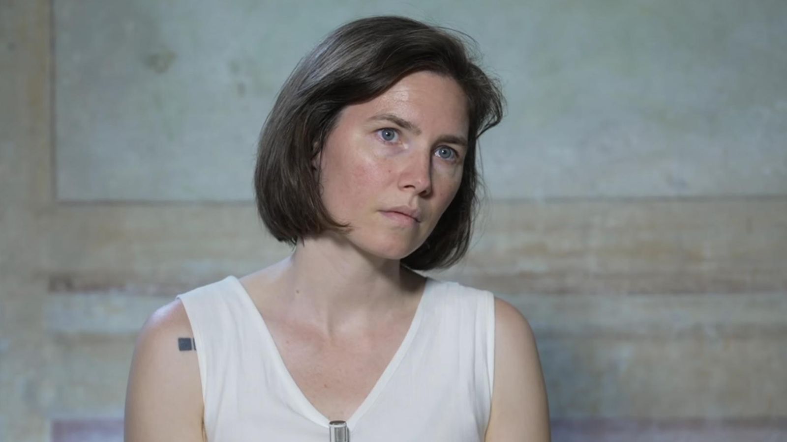Amanda Knox insists she is a 'victim' and did not slander or kill anyone after her reconviction