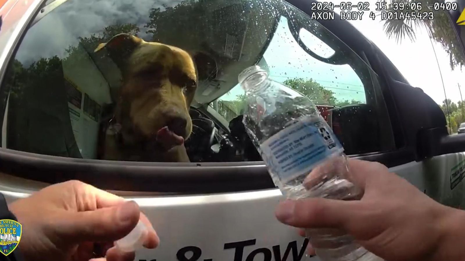 Animal rescue: Police rescue a dog abandoned in a hot vehicle while its ...