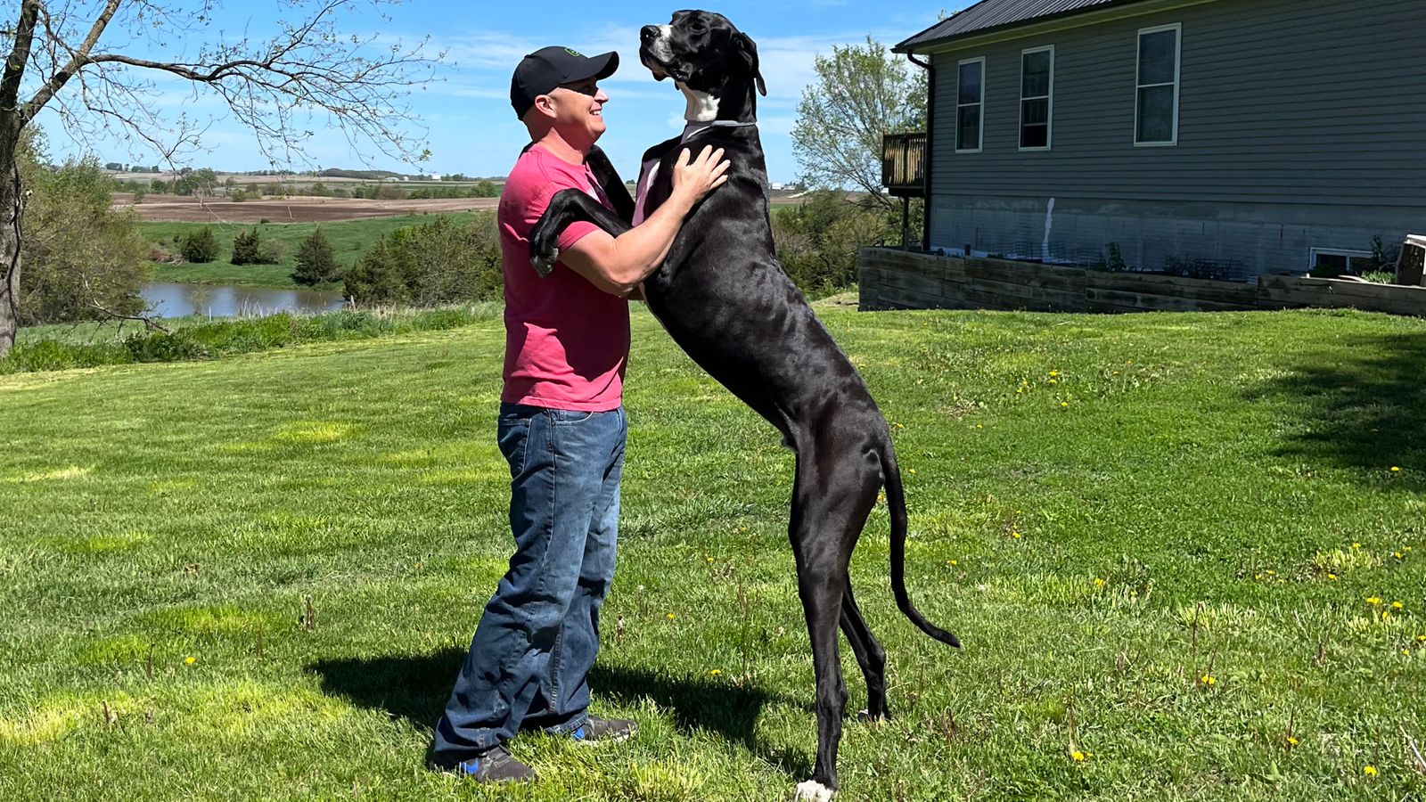World’s tallest Great Dane is afraid of family’s vacuum, claims US News