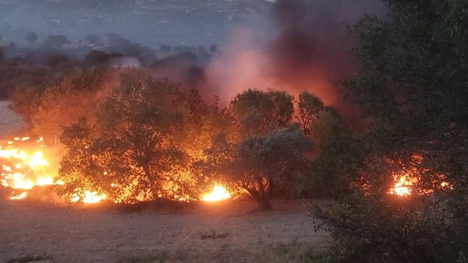 Cyprus wildfire: Houses and farms burned down as blaze burns through ...