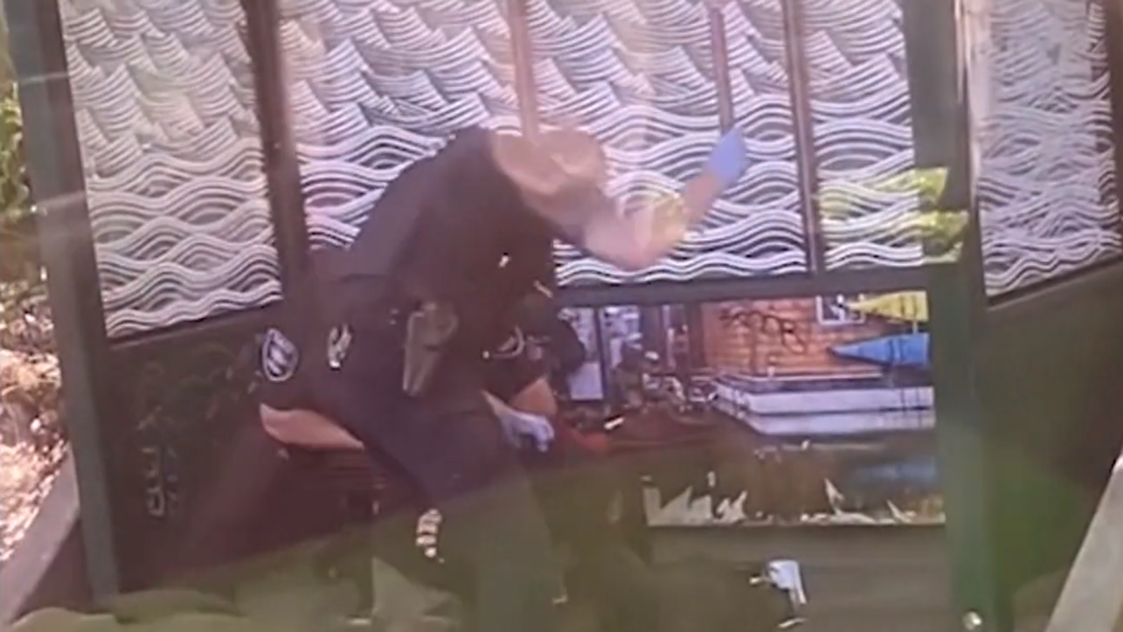 По време на 40 секундния клип един от полицаите изглежда хвана