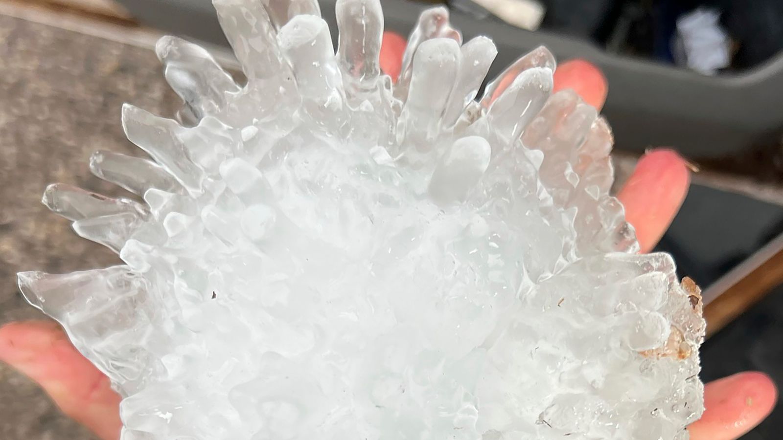 Pineapple-sized hail stone could set new Texas record after being ...