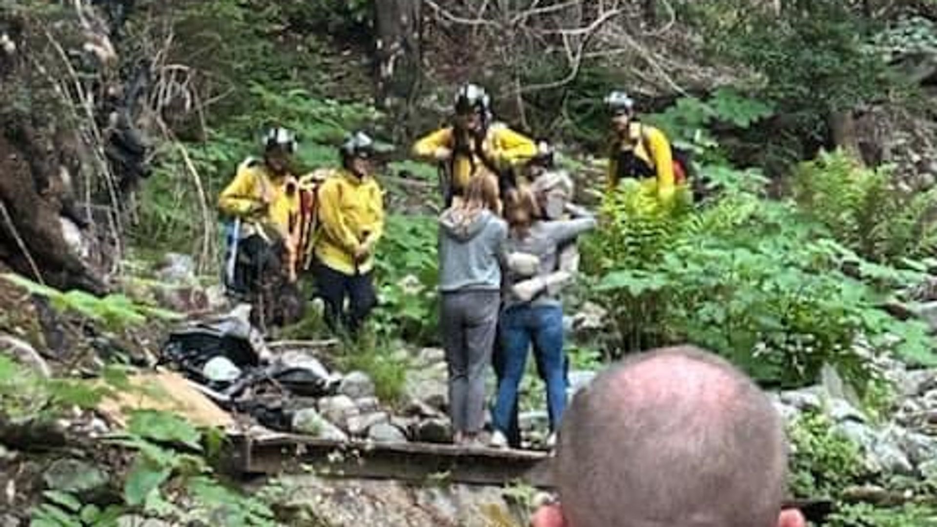 Man found after 10 days lost in woods tells how he survived as he was 'followed by mountain lion'