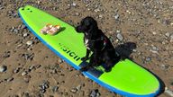 Ariel has been paddle-boarding since moving into her new home. Pic: Ollie Bird