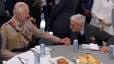 The King shook hands with some of the WWII veterans during the 80th D-Day anniversary ceremony in Normandy. 