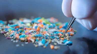 Microplastics found in penises for first time, researchers say