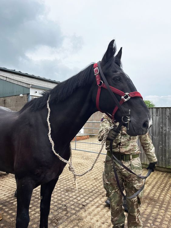 Tennyson has since returned to London. Pic: MOD