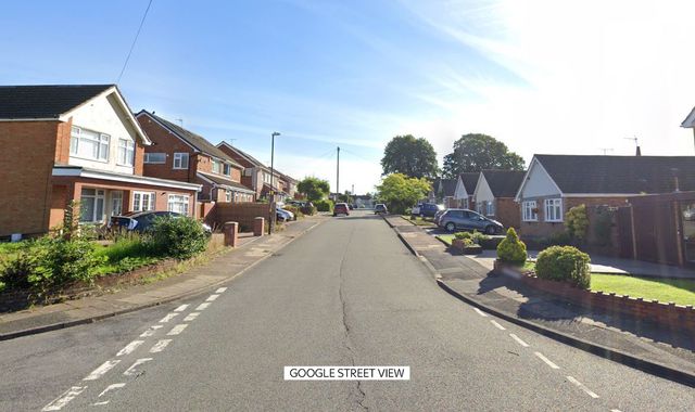 Coventry: Little girl dies after being bitten by family dog ​​at home